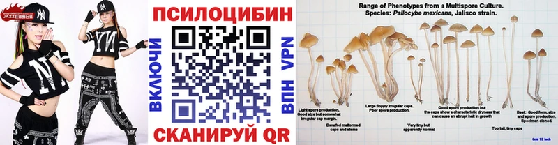 Псилоцибиновые грибы Psilocybe как найти Новошахтинск