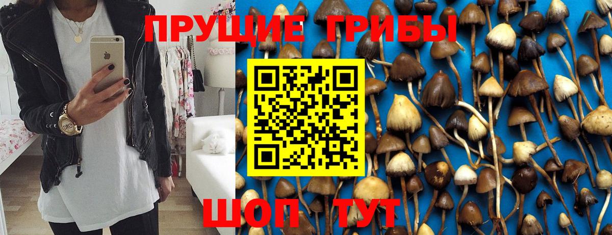 Псилоцибиновые грибы MAGIC MUSHROOMS Новошахтинск