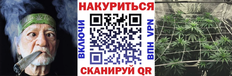 Канабис сатива  цены наркотик  Новошахтинск 